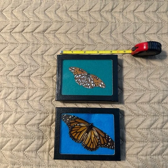 Butterfly Shadow Box Set - Picture 3 of 4